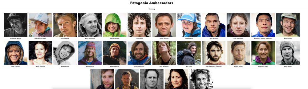 Patagonia brand ambassador or influencer