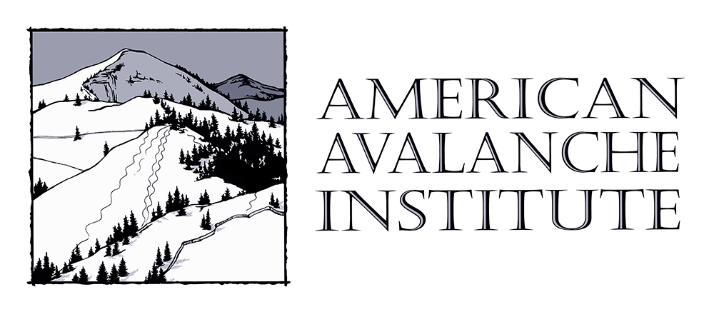 american avalanche institute