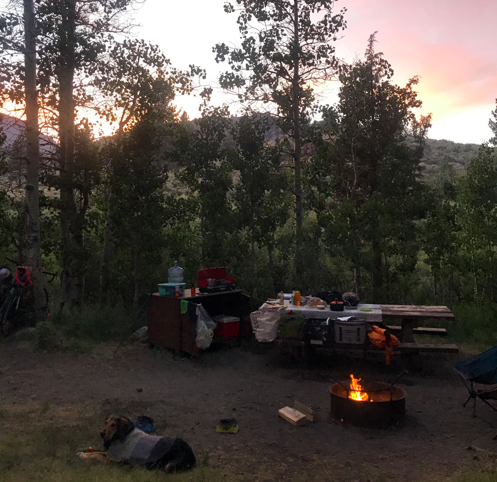 Camping fire nighttime