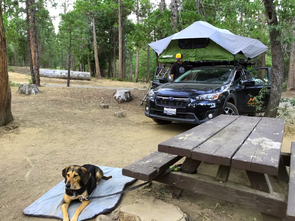 camping with a rooftop tent
