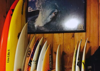 surfboards marketing education programs