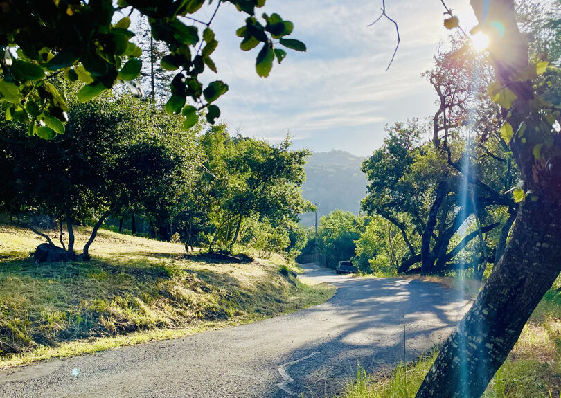things to do wine country roads