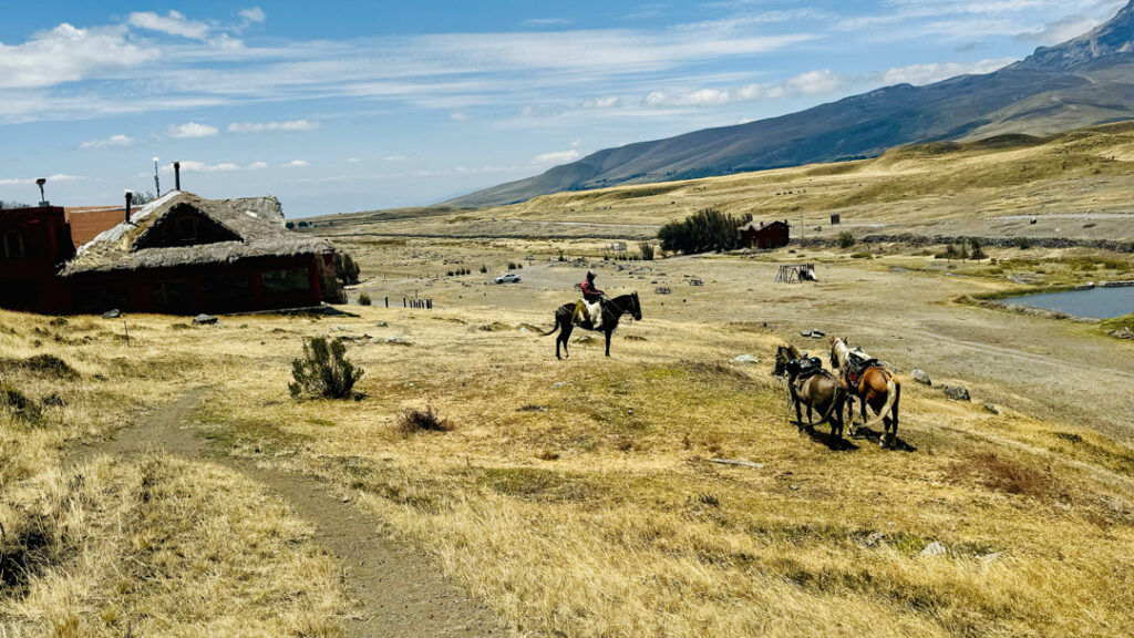 ecuador outdoors cotopaxi horseback riding