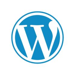 wordpress websites