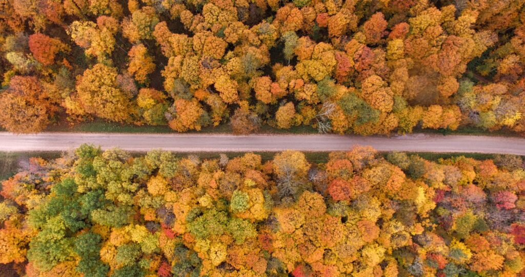 fall marketing campaigns