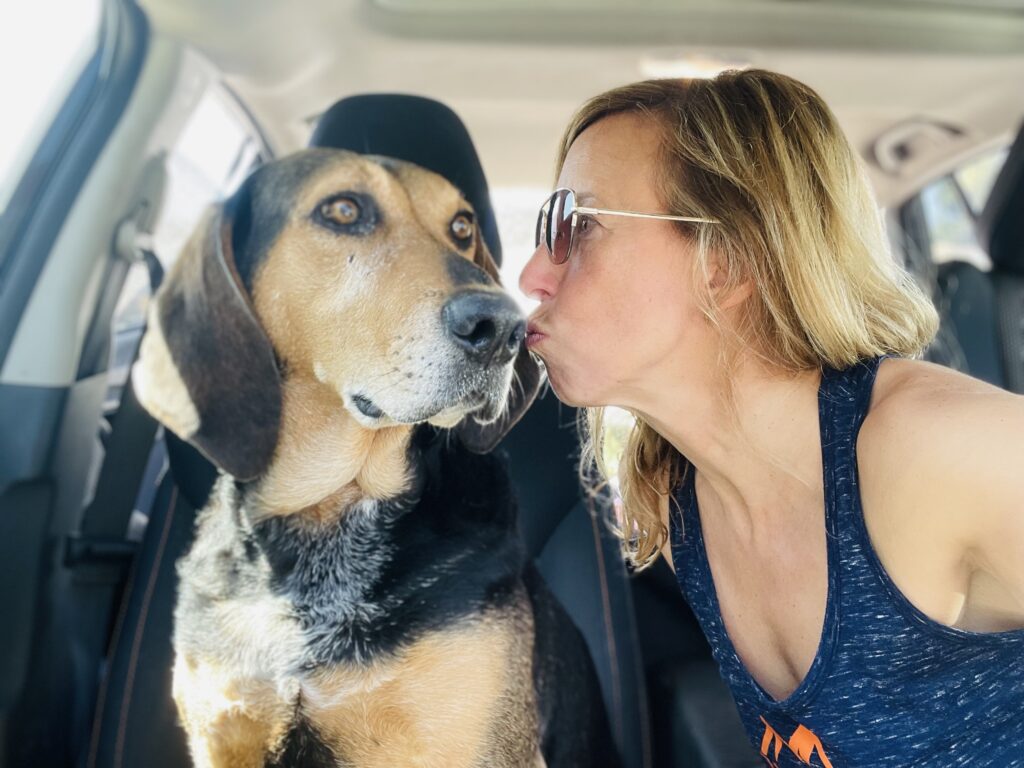 pet-friendly travel moving to europe with a dog